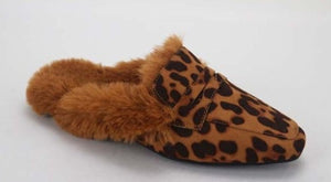Robin - Leopard