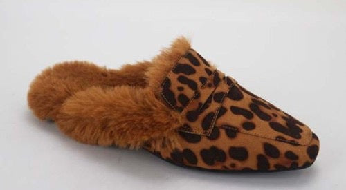 Robin - Leopard