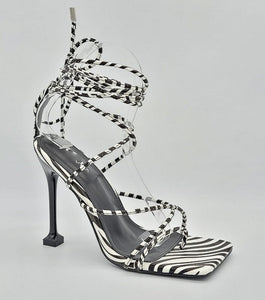 Kenya - Zebra