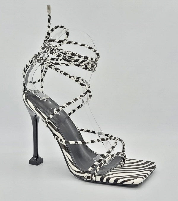 Kenya - Zebra