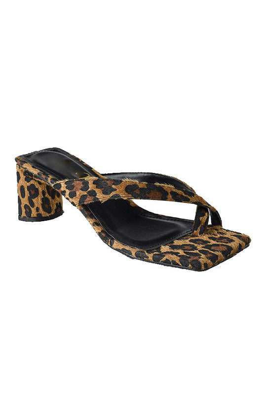 Nala - Leopard